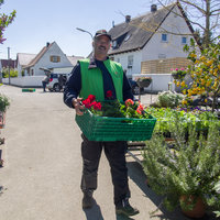 Mitarbeiter mit Balkonblumen in einer Kiste